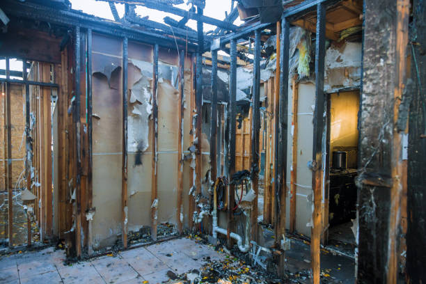 Professional Fire Damage Repair technician working in Greeneville, TN